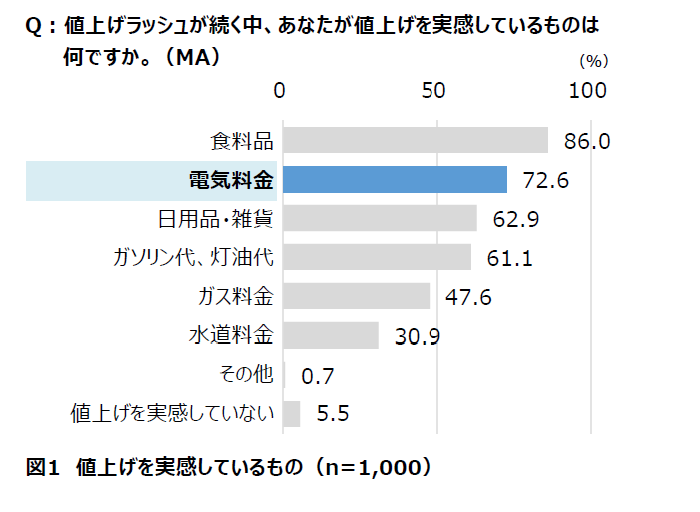 値上げを実感しているもの